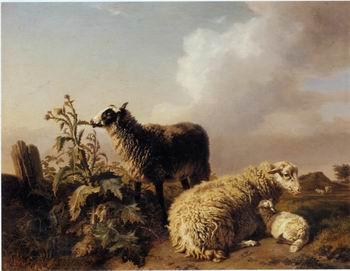 unknow artist Sheep 150